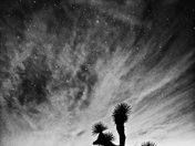 Joshua Tree National Park