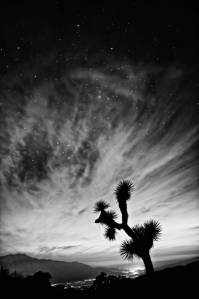 Joshua Tree National Park