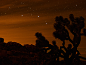 Joshua Tree National Park