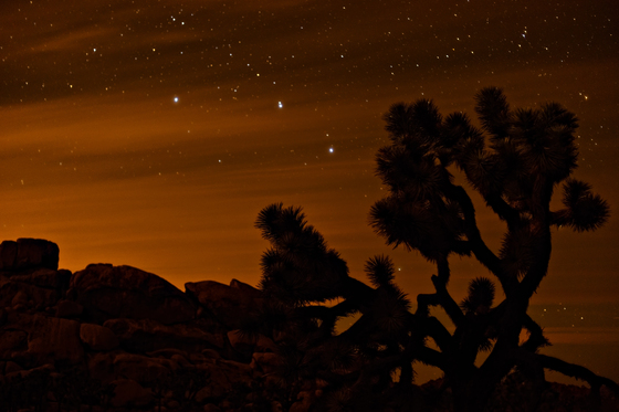 Joshua Tree National Park