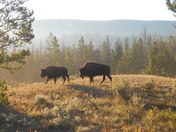 Grand Teton National Park 