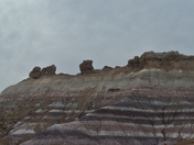 Petrified Forest National Park