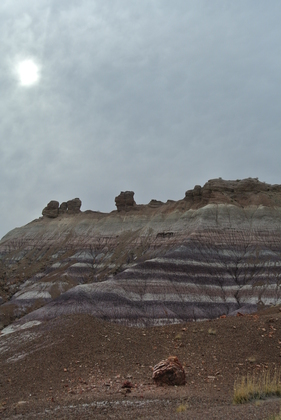 Petrified Forest National Park