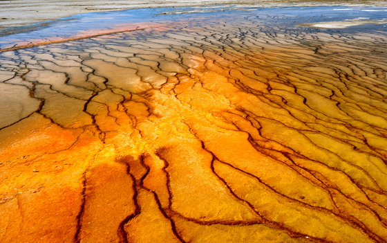 Yellowstone National Park