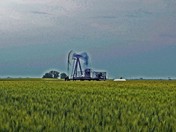 Scenes of Northern Alberta (27)