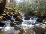 The Great Smoky Mountains National Park 