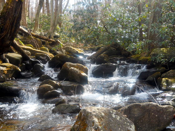 The Great Smoky Mountains National Park 