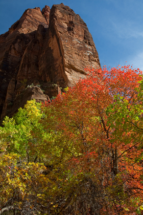 Zion National Park