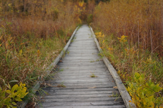 Minnesota Valley National Wildlife Refuge