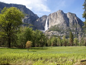 Yosemite National Park 