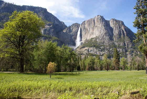 Yosemite National Park 
