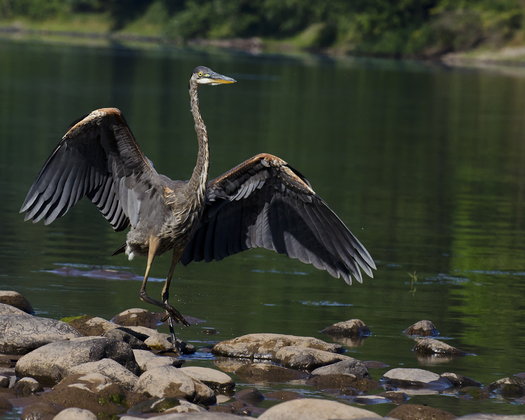 Delaware Water Gap