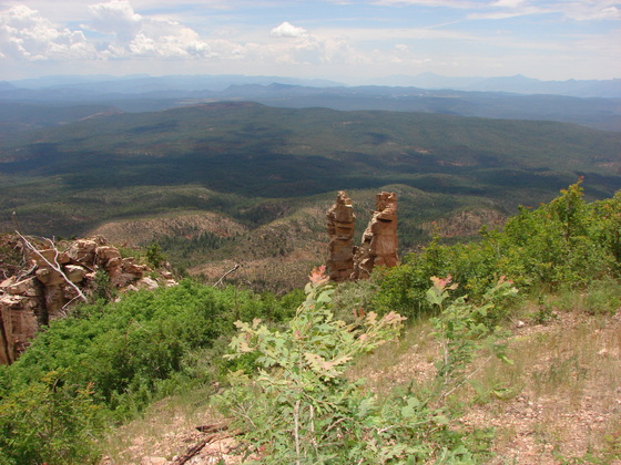 Coconino National Forest