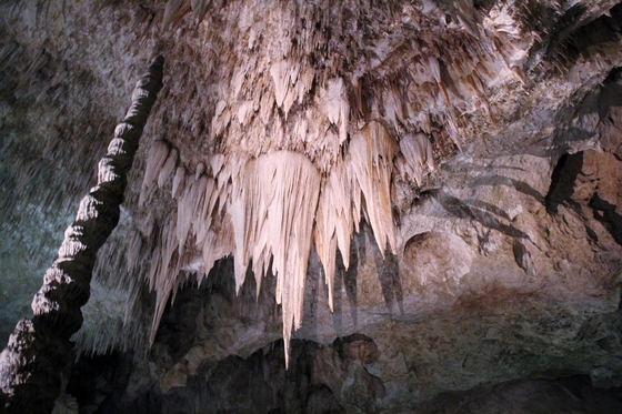 Carlsbad Caverns National Park