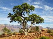 Grand Canyon National Park