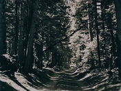 Sangre de Cristo National Park