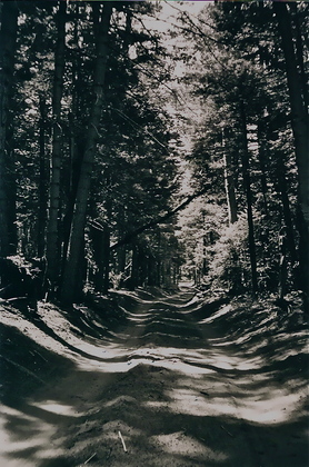 Sangre de Cristo National Park