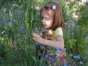 Uinta-Wasatch-Cache National Forest