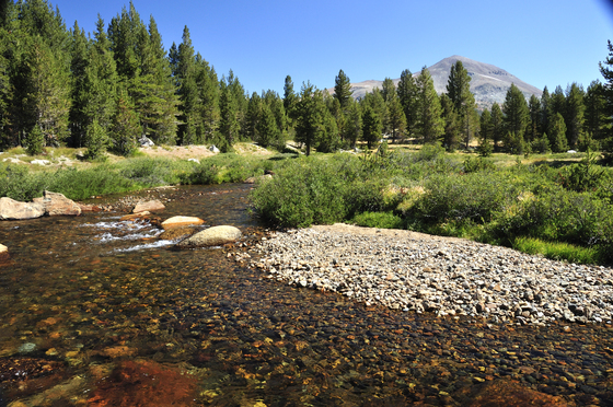 Yosemite National Park