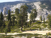 Yosemite National Park