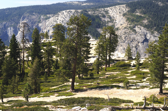 Yosemite National Park