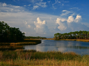 St. Marks National Wildlife Refuge