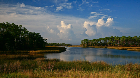 St. Marks National Wildlife Refuge
