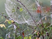 Smoky Mountains, Cades Cove, TN