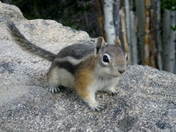 Yellowstone National Park