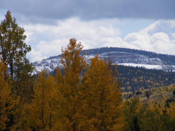 Pike National Forest
