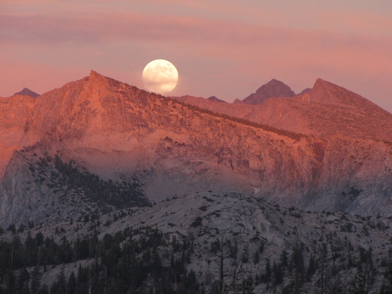 Yosemite National Park
