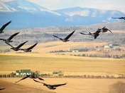 Another Alberta Day!!