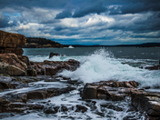 Acadia National Park