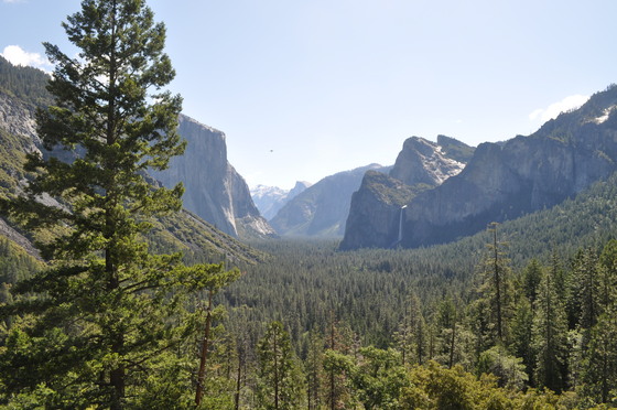 Yosemite National Park