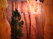 Bryce Canyon National Park