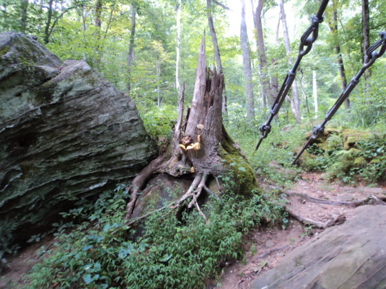 Red River Gorge