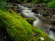 Olympic National Park