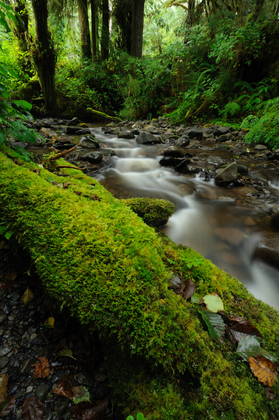 Olympic National Park