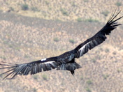 Grand Canyon National Park