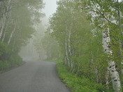 Wasatch-Uinita-Cache National Forest