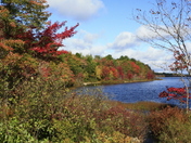 Autumn in Fall River NS
