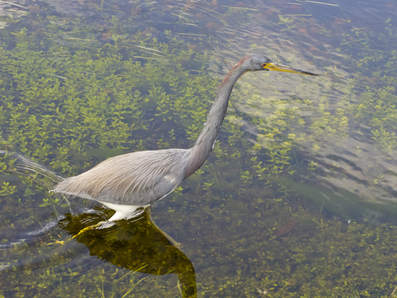 Everglades National Park