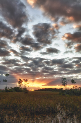 Everglades National Park