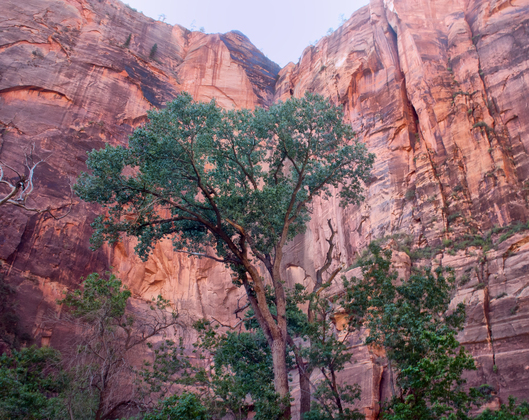 Zion National Park