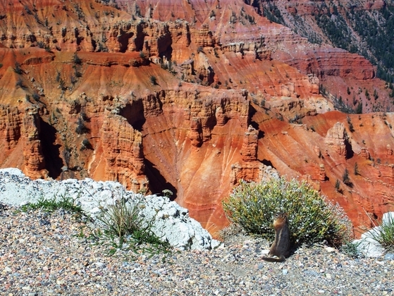 Cedar Breaks National Monument