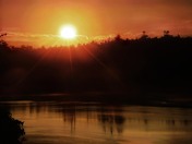 Bandon Marsh National Wildlife Refuge