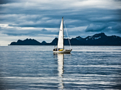 Kenai Fjords National Park