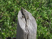 Cabrillo National Monument