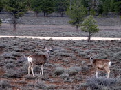 Bryce Canyon National Park