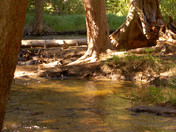 Rocky Mountain National Park